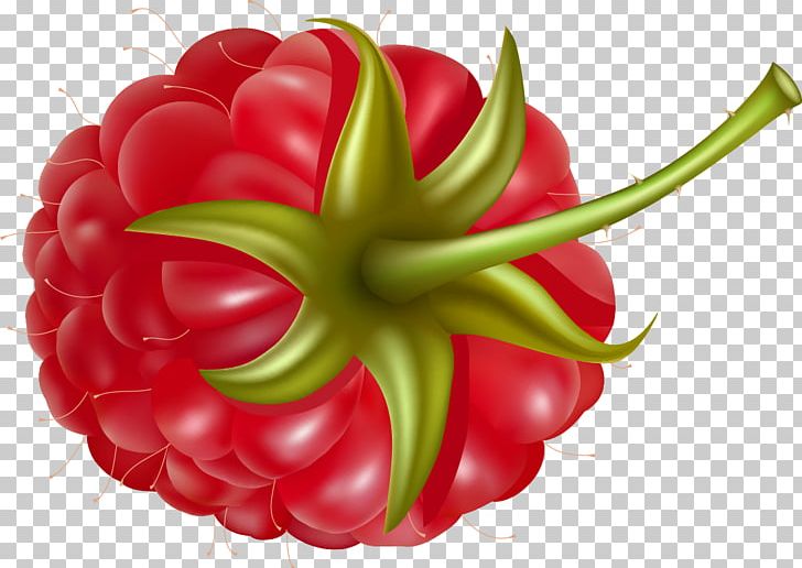 Red Raspberry Fruit PNG, Clipart, Bell Pepper, Bell Peppers And Chili Peppers, Berries, Black Raspberry, Chili Pepper Free PNG Download