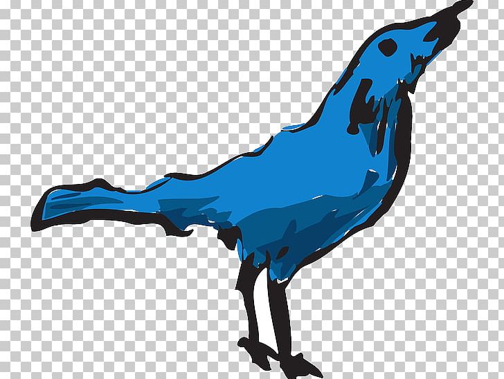 Beak Bird Feather Wing PNG, Clipart, Animals, Artwork, Beak, Bird, Bird Flight Free PNG Download