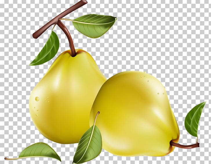 Fruit Pear PNG, Clipart, Apple, Citrus, Fcb, Food, Fruit Free PNG Download