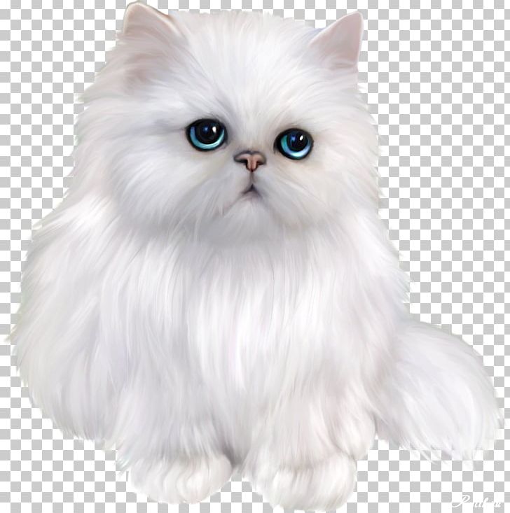 Persian Cat Himalayan Cat Exotic Shorthair Asian Semi-longhair Siamese Cat PNG, Clipart, Asian Semilonghair, Black Cat, British Semi Longhair, British Shorthair, Carnivoran Free PNG Download