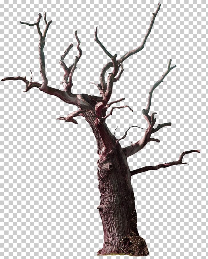 Tree Branch Snag PNG, Clipart, Antler, Big, Big Tree, Branch, Christmas Decoration Free PNG Download