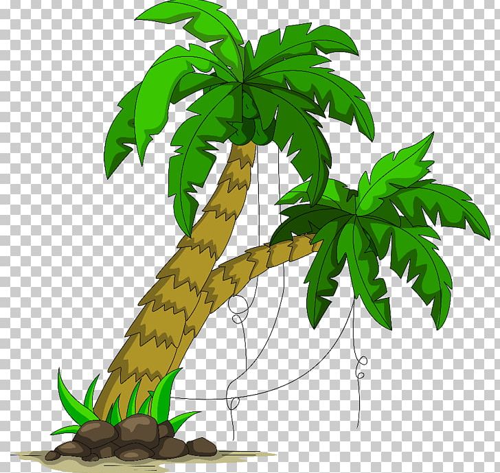 Arecaceae Coconut Child PNG, Clipart, Arecaceae, Calamus, Calamus Rotang, Child, Coconut Free PNG Download