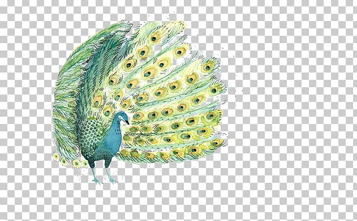 Bird Watercolor Painting Illustration PNG, Clipart, Animal, Animals, Art, Beak, Cartoon Free PNG Download