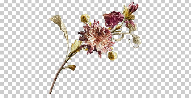Cut Flowers PNG, Clipart, Blossom, Branch, Cicekler, Cicek Resimleri, Cut Flowers Free PNG Download