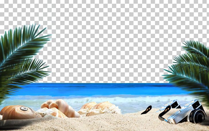 Ocean Beach Sandy Beach Sea PNG, Clipart, Background, Beach, Beaches, Beach  Party, Computer Wallpaper Free PNG