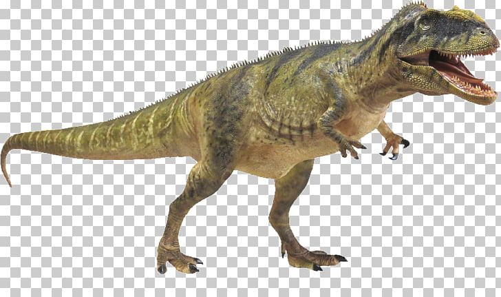 Tyrannosaurus Velociraptor Terrestrial Animal PNG, Clipart, Allosaurus, Animal, Animal Figure, Dinosaur, Extinction Free PNG Download