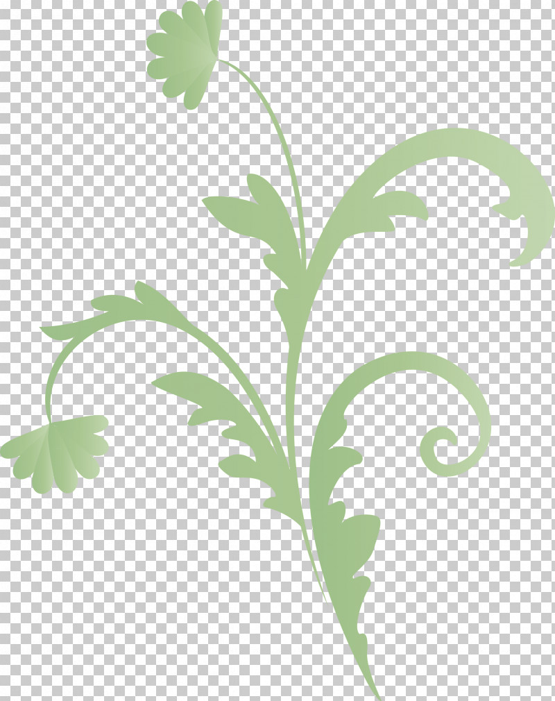 Flower Frame Floral Frame PNG, Clipart, Camomile, Chamomile, Daisy Family, Floral Frame, Flower Free PNG Download