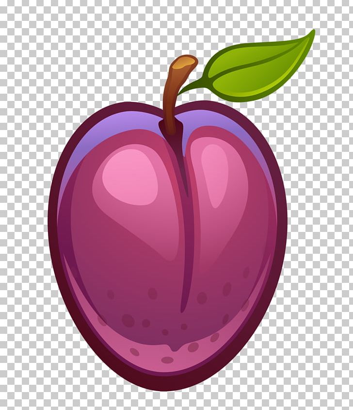 Plum Child Cerasus Leporids Fruit PNG, Clipart, Apple, Berry, Cerasus, Child, Drawing Free PNG Download