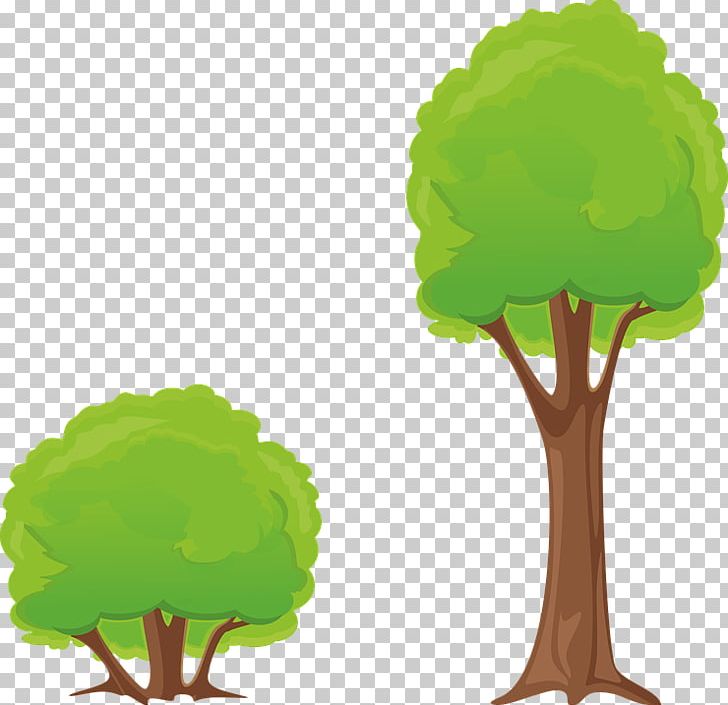 Shrub Tree PNG, Clipart, Bush, Coloring Book, Download, Forest, Grass Free PNG Download