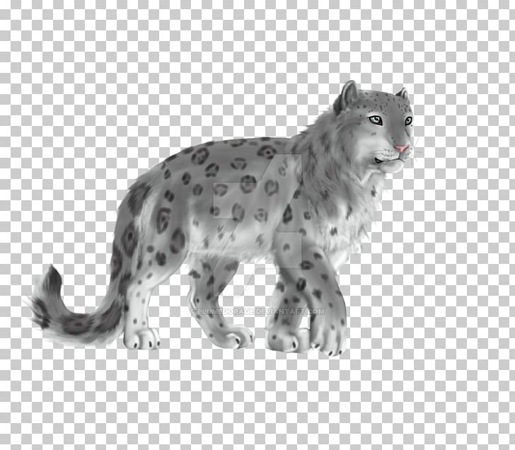 Whiskers Snow Leopard Cat Fur PNG, Clipart, Animal, Animal Figure, Animals, Big Cats, Black And White Free PNG Download