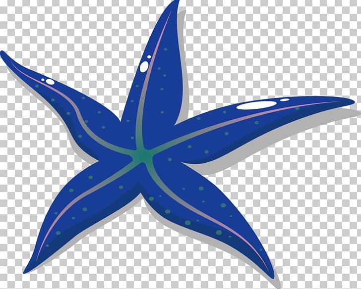 Starfish Drawing PNG, Clipart, Animals, Biological, Biology, Blue, Cobalt Blue Free PNG Download