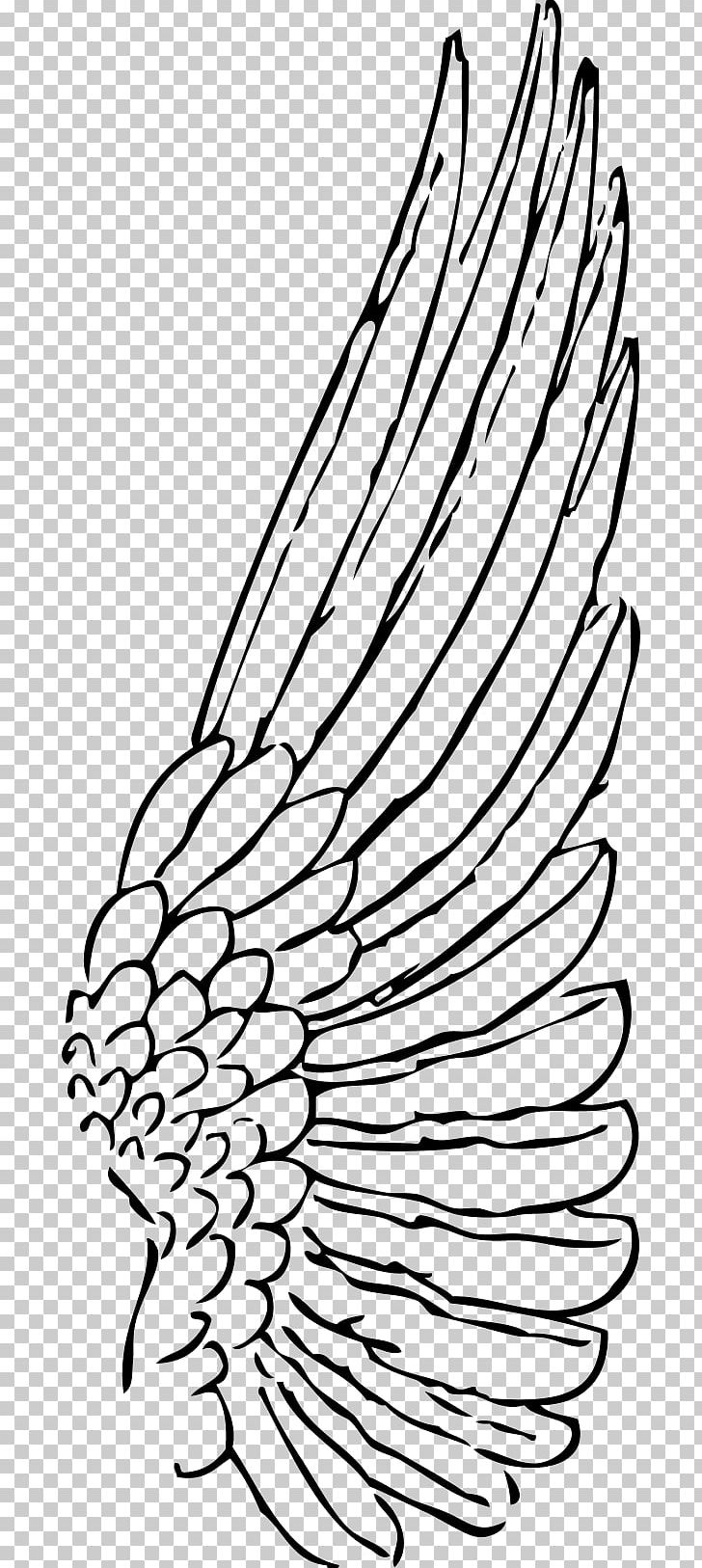 Buffalo Wing Drawing PNG, Clipart, Angel Wing, Art, Beak, Black And White, Computer Icon Free PNG Download