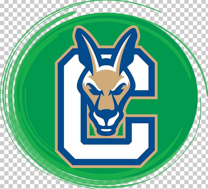 Suny Canton Athletic Center Endicott College State University Of New York System Sport PNG, Clipart, Brand, Canton, College, Fictional Character, Grass Free PNG Download