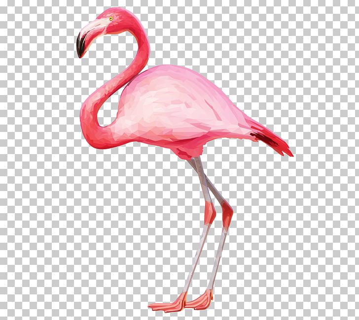 Flamingo PNG, Clipart, Animals, Beak, Bird, Clip Art, Computer Icons Free PNG Download