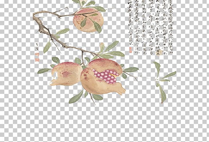 Pomegranate Ink Wash Painting Chinese Painting Painter Chinese Art PNG, Clipart, Art, Art Name, Auglis, Author, Branch Free PNG Download