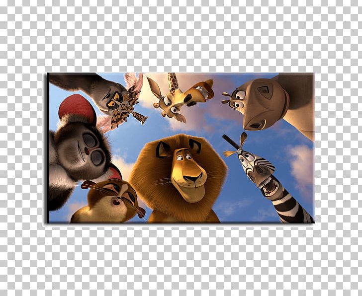 Alex Madagascar Film DreamWorks Animation PNG, Clipart, Alex, Dreamworks Animation, Film, Madagascar, Others Free PNG Download