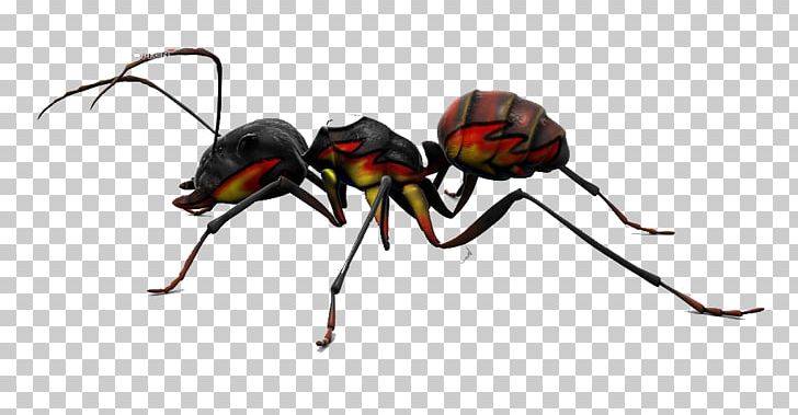 Red Imported Fire Ant Insect Stinger Pest PNG, Clipart, Ant, Ants Vector, Ant Vector, Ant Venom, Arthropod Free PNG Download