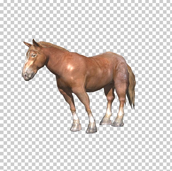Stallion Mare Mustang Foal Colt PNG, Clipart, Animal, Animal Figure, Colt, Foal, Halter Free PNG Download