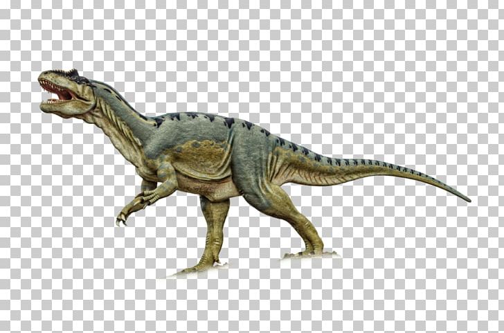 Tyrannosaurus Dinosaur Velociraptor Giganotosaurus Bird PNG, Clipart, Animal, Animal Figure, Bird, Cretaceous, Cryolophosaurus Free PNG Download
