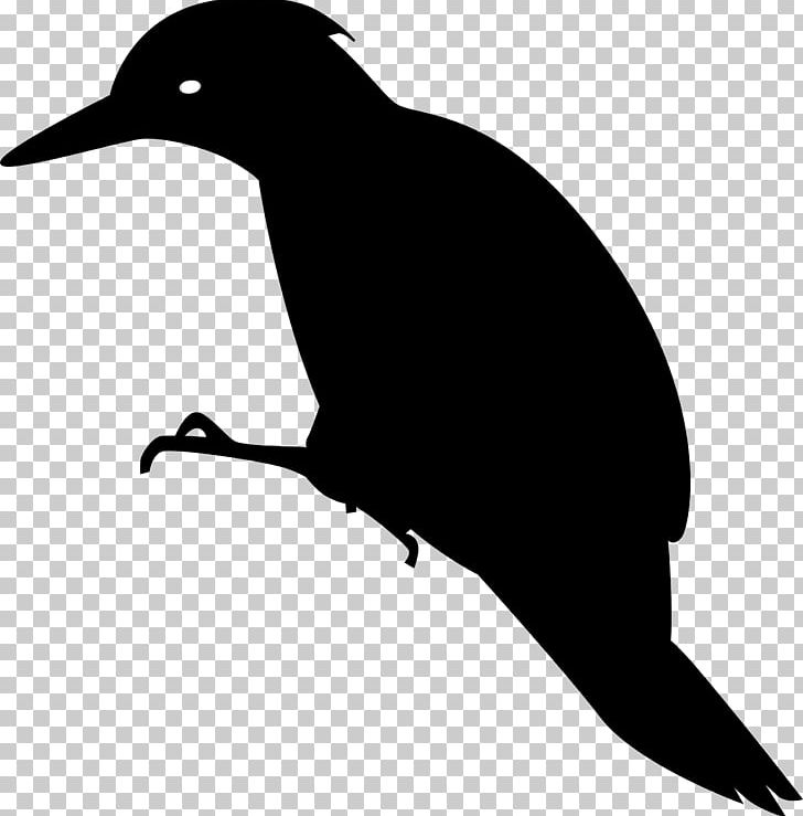 Woody Woodpecker Bird PNG, Clipart, Animals, Beak, Bird, Black And White, Computer Icons Free PNG Download