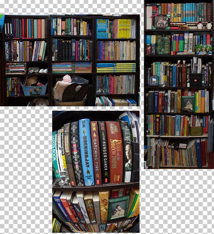 Bookcase Shelf Library Couch PNG, Clipart, Arcade Fire, Book, Bookcase, Booklover, Bookselling Free PNG Download