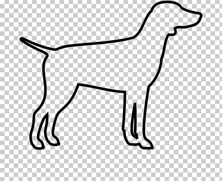 Dog Breed Puppy Sporting Group Retriever PNG, Clipart, Area, Beak, Black And White, Breed, Carnivoran Free PNG Download