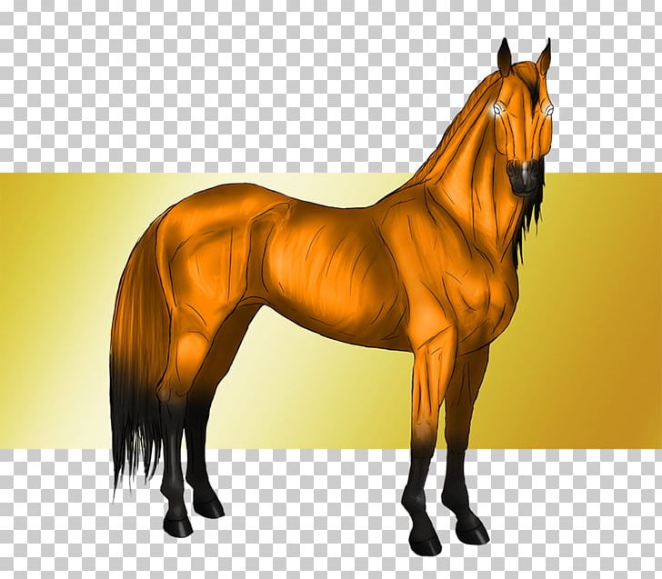 Mane Mustang Stallion Mare Halter PNG, Clipart, Agouti, Bridle, Halter, Horse, Horse Harness Free PNG Download