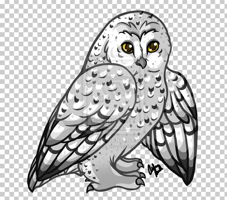 Owl Beak Bird Of Prey Parrot PNG, Clipart, Animal, Art, Beak, Bird, Bird Of Prey Free PNG Download