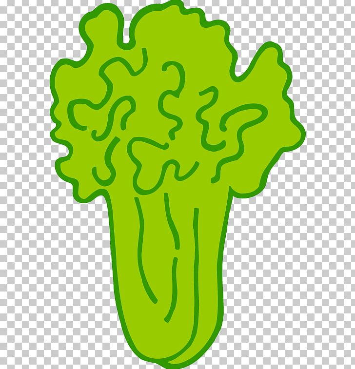 Vegetable Napa Cabbage Chinese Cabbage PNG, Clipart, Area, Balloon Cartoon, Biological, Bok Choy, Cabbage Free PNG Download
