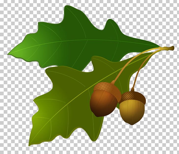 oak tree leaves clip art