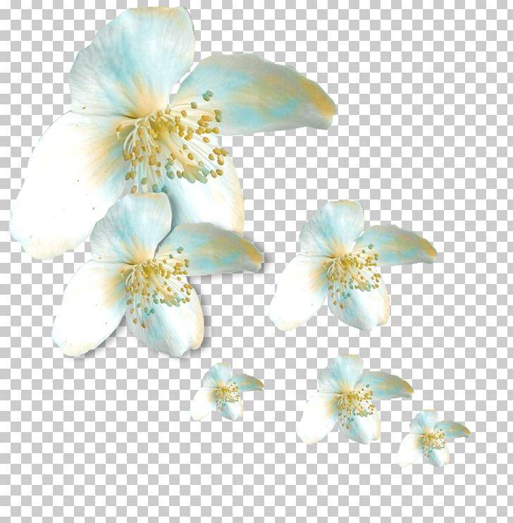 Cut Flowers Petal Tulip PNG, Clipart, Blossom, Body Jewelry, Bud, Cari, Christmas Free PNG Download