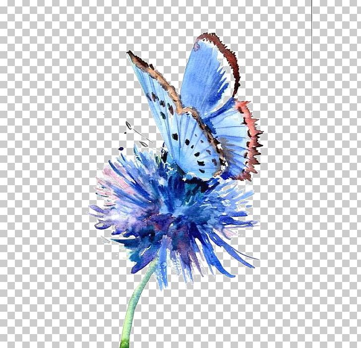 Butterfly Painting Blue Flower Drawing PNG, Clipart, Animals, Animals Element, Blue, Blue Background, Brush Footed Butterfly Free PNG Download