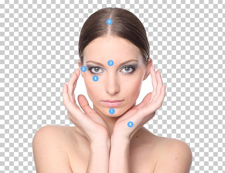 Massage Лимфодренаж Face Skin Подтяжка лица PNG, Clipart, Beauty, Beauty Parlour, Cheek, Chin, Circulatory System Free PNG Download