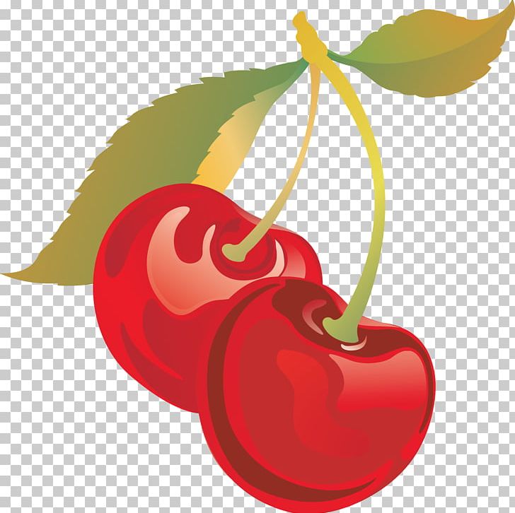 Sweet Cherry Drawing PNG, Clipart, Apple, Cerasus, Cherry, Drawing, Flower Free PNG Download