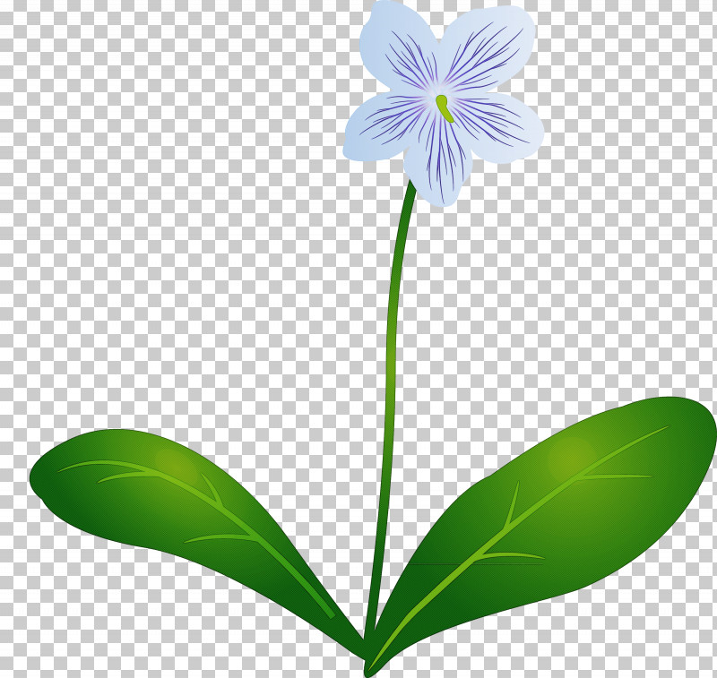 Violet Flower PNG, Clipart, Floral Design, Flower, Leaf, Lily, Petal Free PNG Download