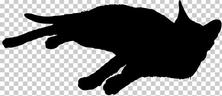 Black Cat Whiskers Silhouette Sticker PNG, Clipart, Animals, Black, Black Cat, Carnivoran, Cat Like Mammal Free PNG Download