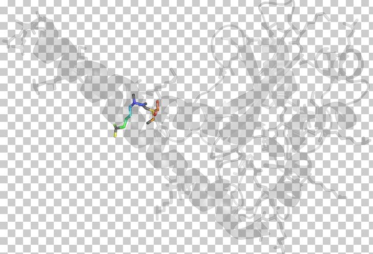 White Branch Acetolactate Synthase PNG, Clipart, Acetolactate Synthase, Area, Art, Branch, Line Free PNG Download