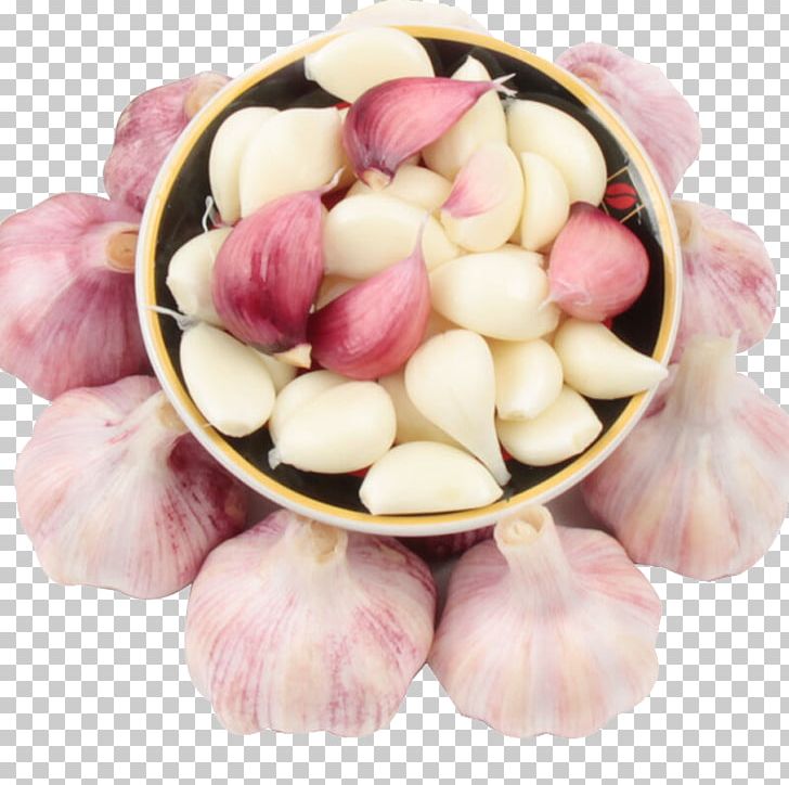 Garlic Purple Vegetable Potato PNG, Clipart, Dry, Dry Garlic, Eggplant, Food, Fruit Free PNG Download