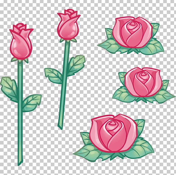 Garden Roses Cabbage Rose Cut Flowers Sticker PNG, Clipart, Adhesive, Bud, Cabbage Rose, Child, Cut Flowers Free PNG Download