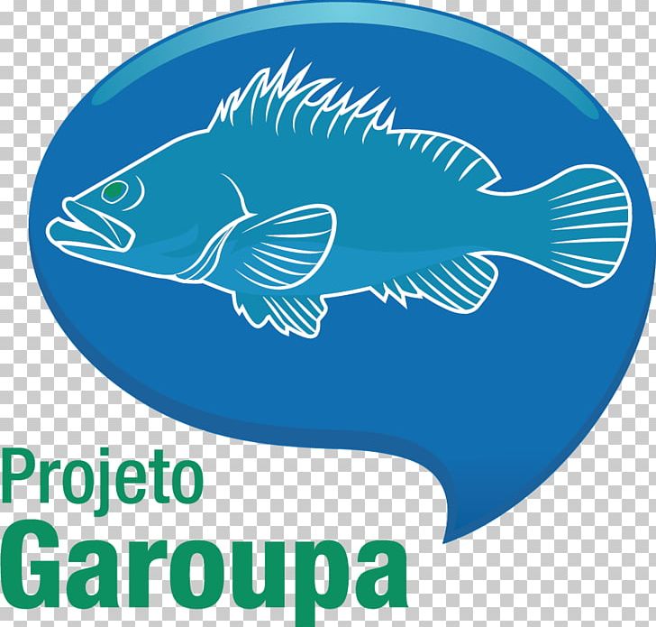 Projeto Garoupa Gulf Grouper Fish Red Grouper PNG, Clipart, Animals, Aqua, Area, Biology, Blue Free PNG Download