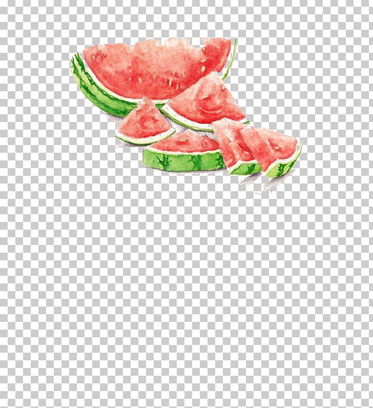 Watermelon Watercolor Painting Drawing Seedless Fruit PNG, Clipart, Art Museum, Cartoon, Cartoon Watermelon, Citrullus, Cuisine Free PNG Download