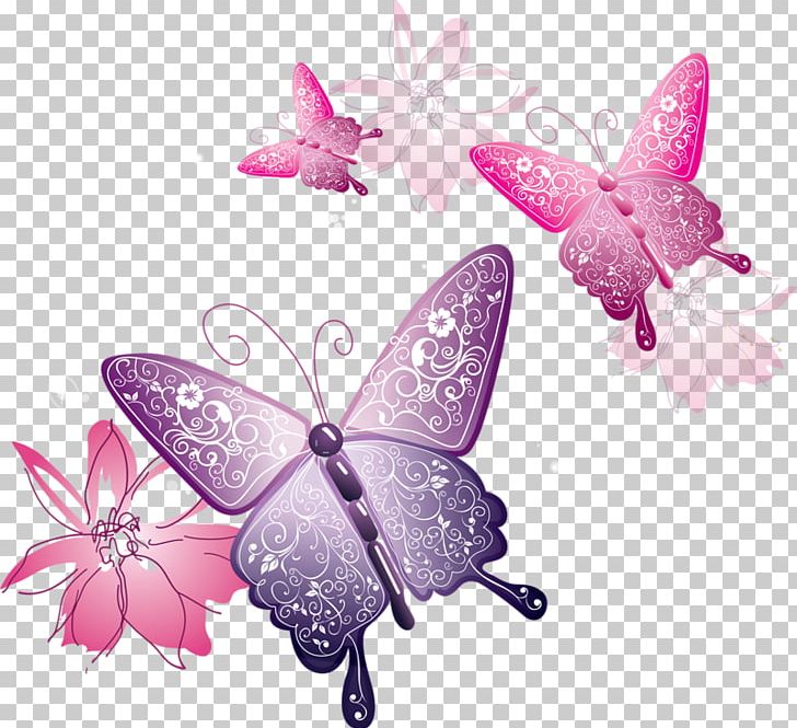 Butterfly PNG, Clipart, Arthropod, Brush Footed Butterfly, Butterfly, Color, Computer Icons Free PNG Download