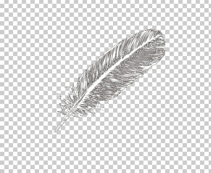 Domestic Goose Feather White Icon PNG, Clipart, Animals, Background White, Black And White, Black White, Blue Free PNG Download