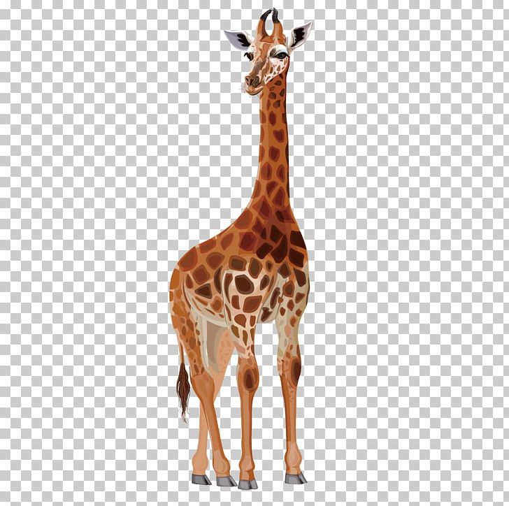 Northern Giraffe Deer Drawing Cartoon PNG, Clipart, Animals, Cartoon, Cartoon Alien, Cartoon Character, Cartoon Cloud Free PNG Download