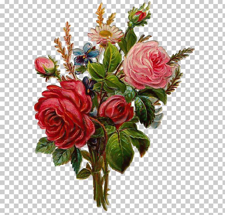 Old Roses And English Roses Flower Garden Roses PNG, Clipart, Artificial Flower, Blume, Botanical Flowers, Cut Flowers, Decoupage Free PNG Download