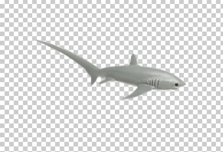 Shark Cartilaginous Fishes Safari Ltd Common Thresher Animal PNG, Clipart, Animal, Animals, Blacktip Reef Shark, Blue Shark, Cartilaginous Fish Free PNG Download