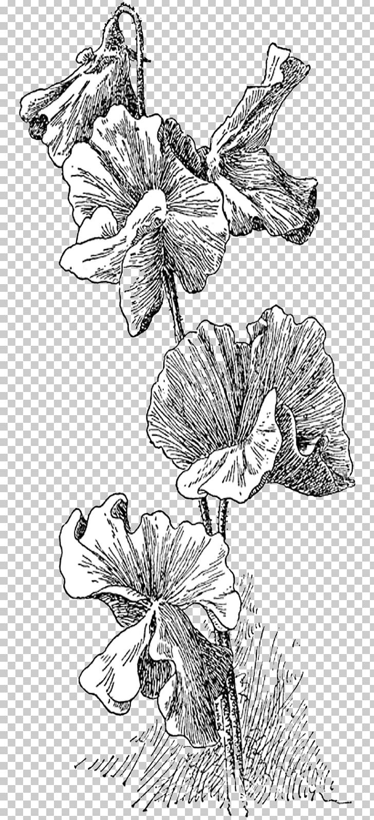Sweet Pea Digital Stamp Drawing PNG, Clipart, Art, Artwork, Black And White, Branch, Cartoon Free PNG Download