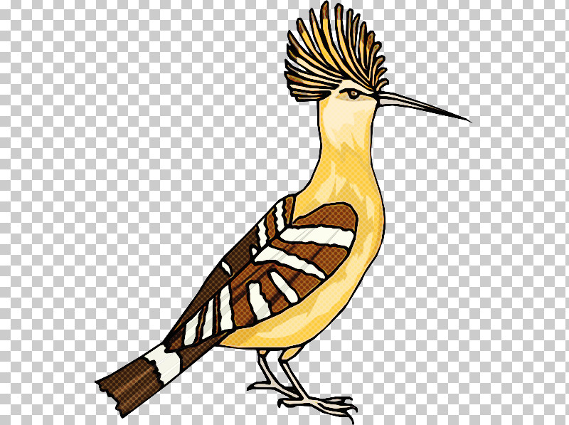 Bird Beak Eastern Meadowlark Roadrunner Perching Bird PNG, Clipart, Animal Figure, Beak, Bird, Eastern Meadowlark, House Sparrow Free PNG Download