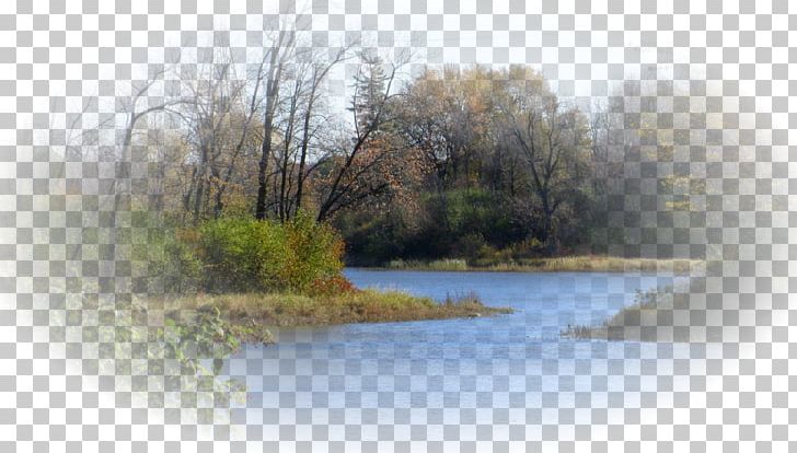 Fluvial Landforms Of Streams Landscape Blog Wetland Portable Document Format PNG, Clipart, Bank, Blog, Book, Ebook, Epub Free PNG Download
