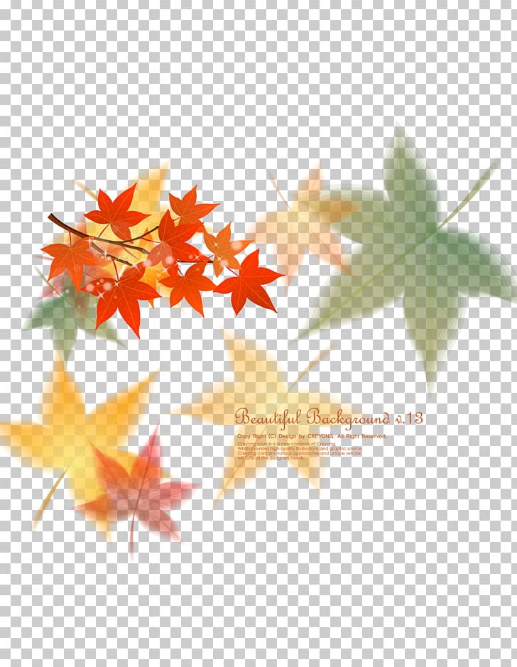Maple Leaf Euclidean PNG, Clipart, Computer Wallpaper, Download, Dragonfly, Encapsulated Postscript, Fan Free PNG Download